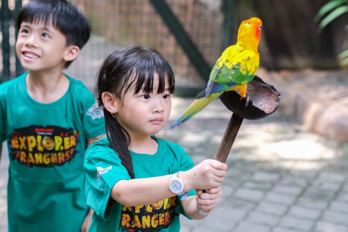 Young boy and girl wearing Explore Rangers t-shirt holding a parrot from the wildlife park at Sunway Lagoon.